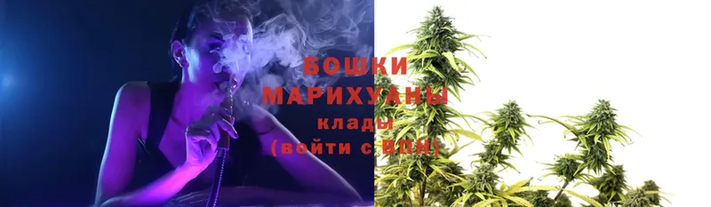 Шишки марихуана Ganja  Тосно 